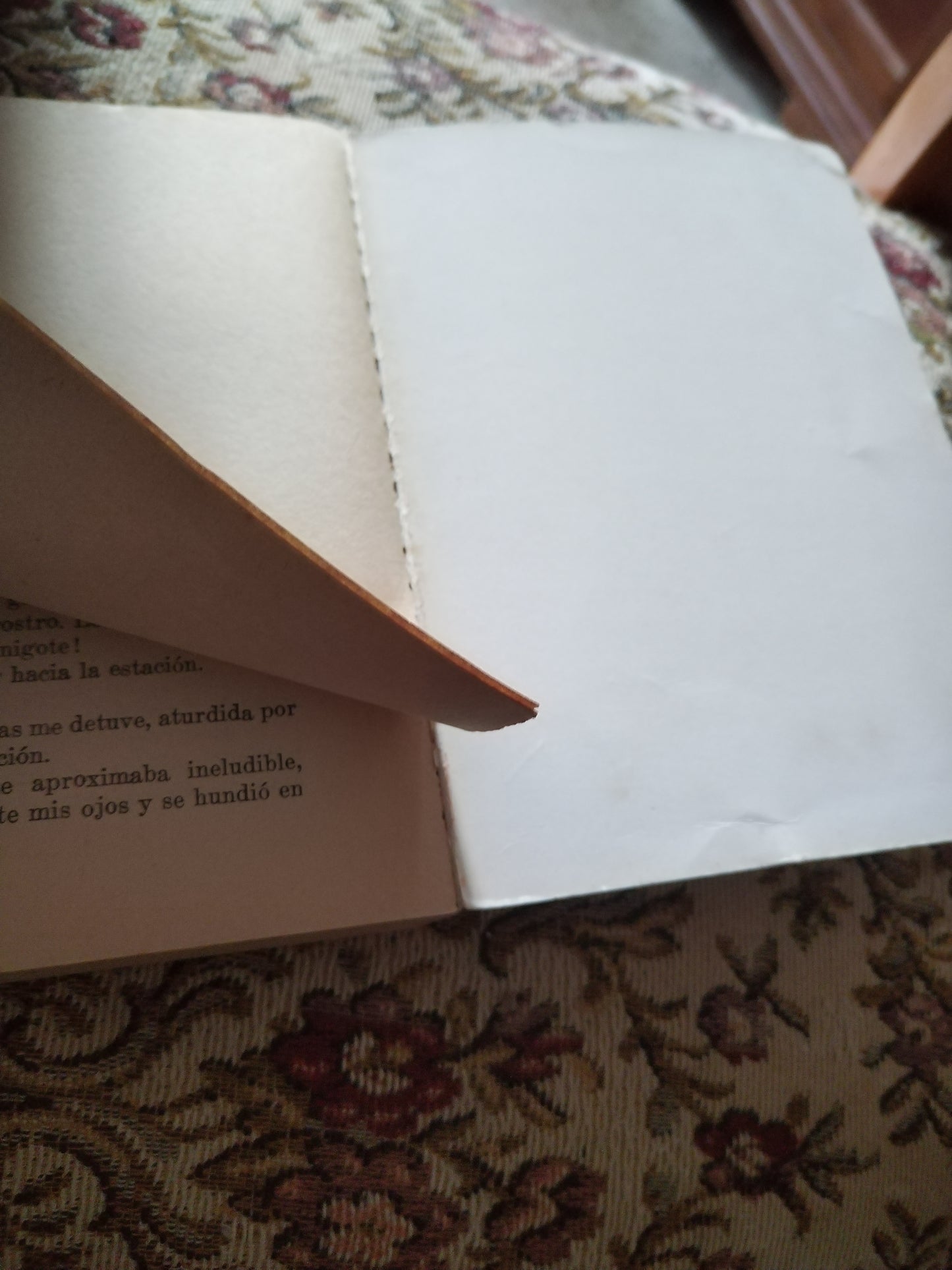 Mi mejor cuento, Varios autores
